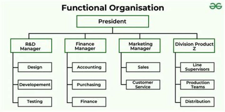 What type of organization is a foundation?