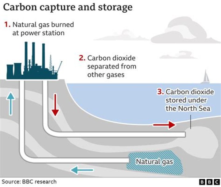 What type of stone is carbon dioxide pumped into?
