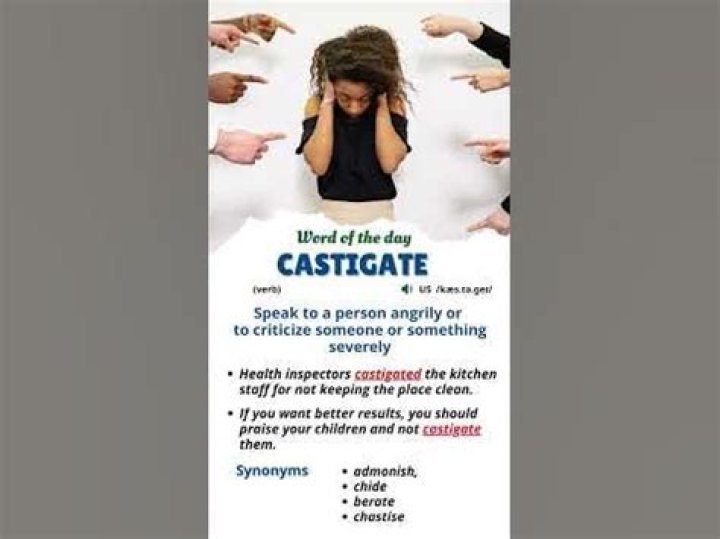 What type of word is castigate?