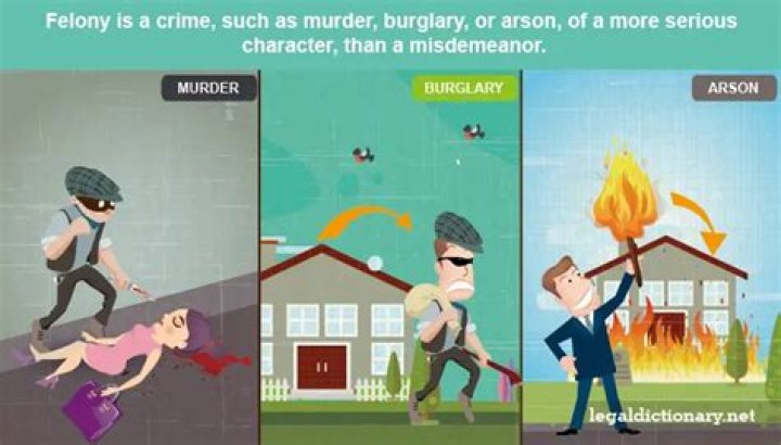 What types of crimes are considered a felony?