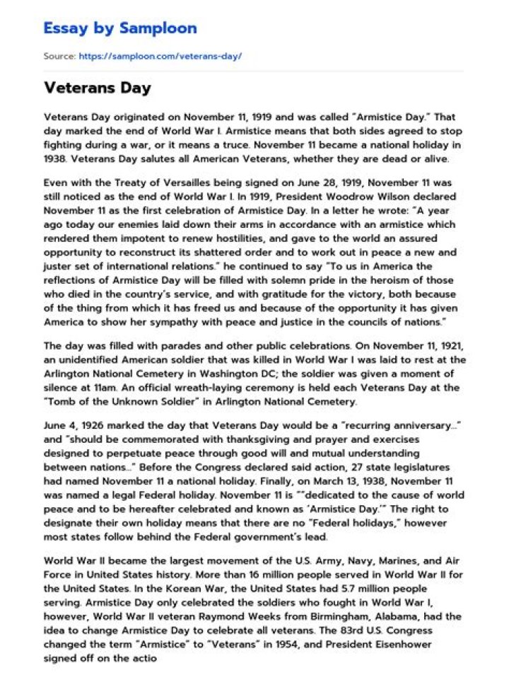 What Veterans Day Means to Me essay?