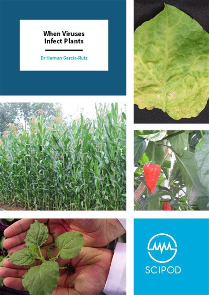 What viruses infect plants?