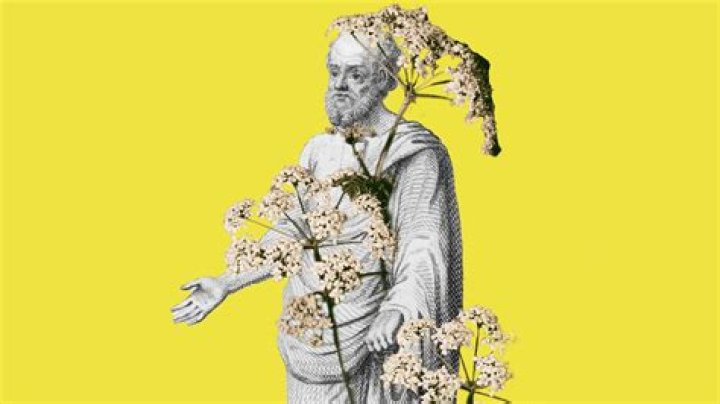 What was a distinguishing characteristic of Socrates?