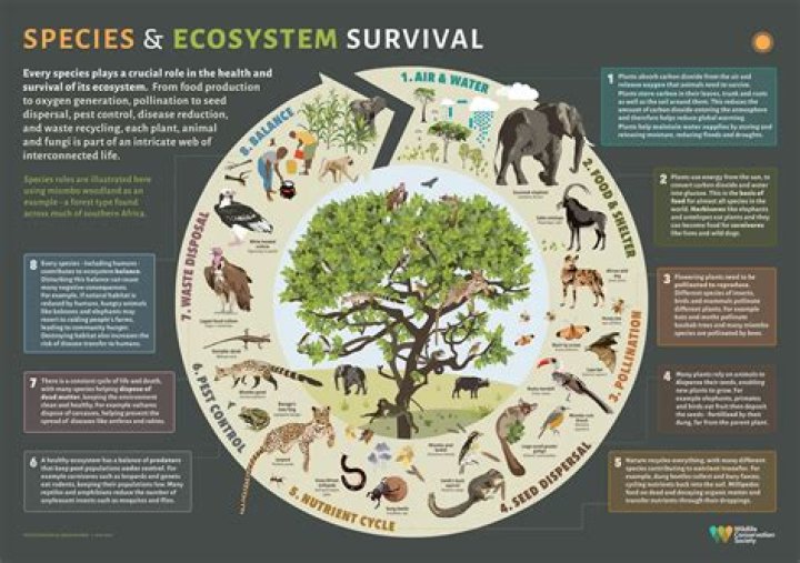 What was a major benefit of the exchange of plants and animals?