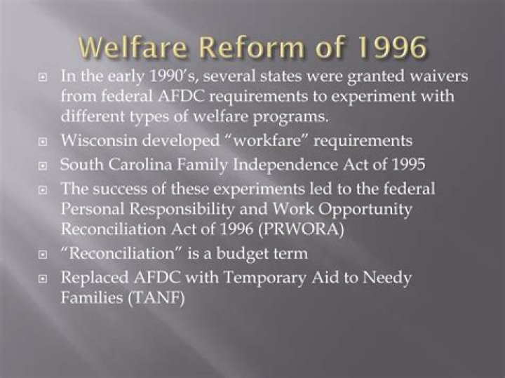 What was the 1996 welfare reform?