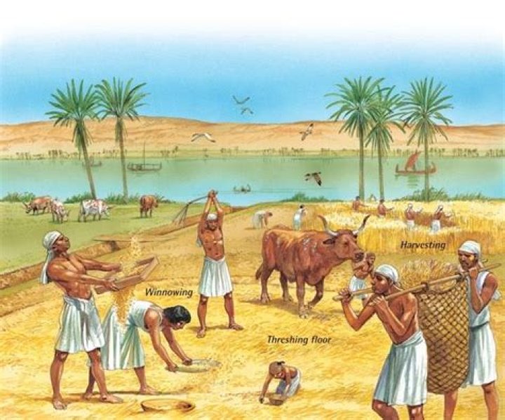What were the ancient Egyptian farming techniques?