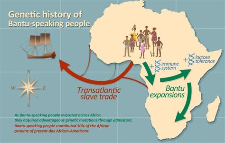 What were the causes and effects of the migrations of Bantu speaking peoples?