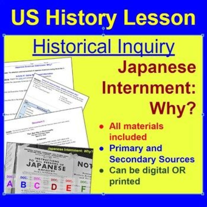 What were the causes of Japanese internment?