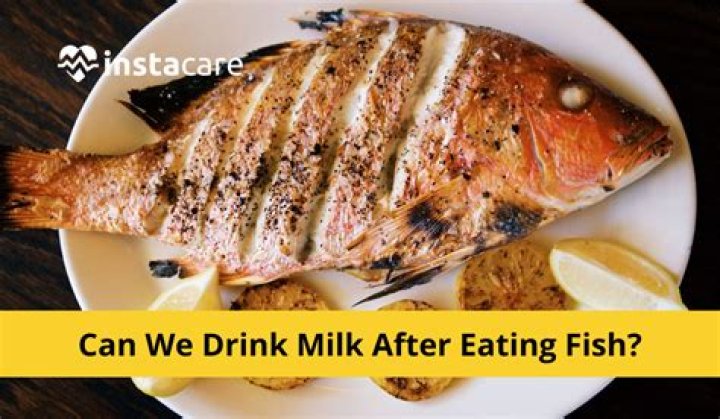 What will happen if you eat fish food?