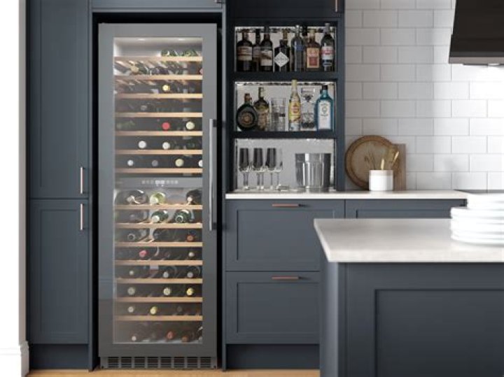 What wine goes in a wine fridge?