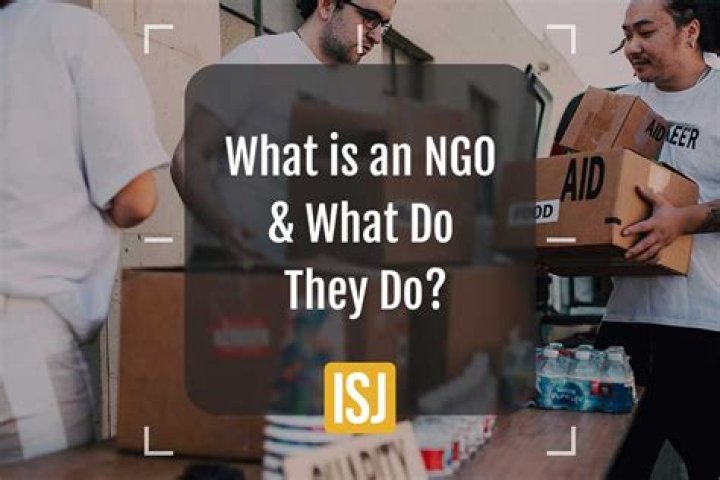 What work does an NGO do?