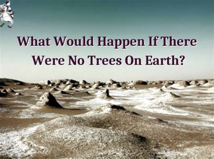 What would happen if there were too many trees?