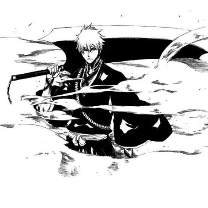 What year did Bleach manga end?