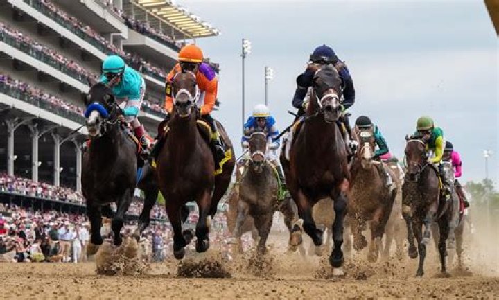 What year was Big Brown in the Kentucky Derby?