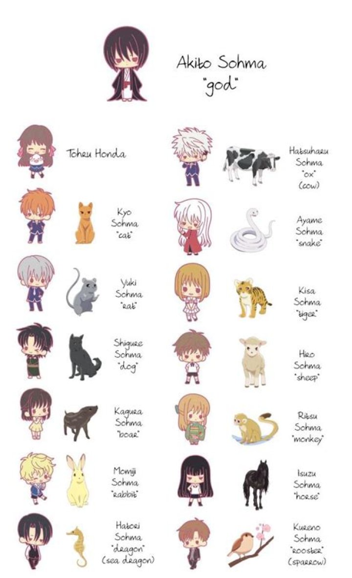 What Zodiac is Akito?