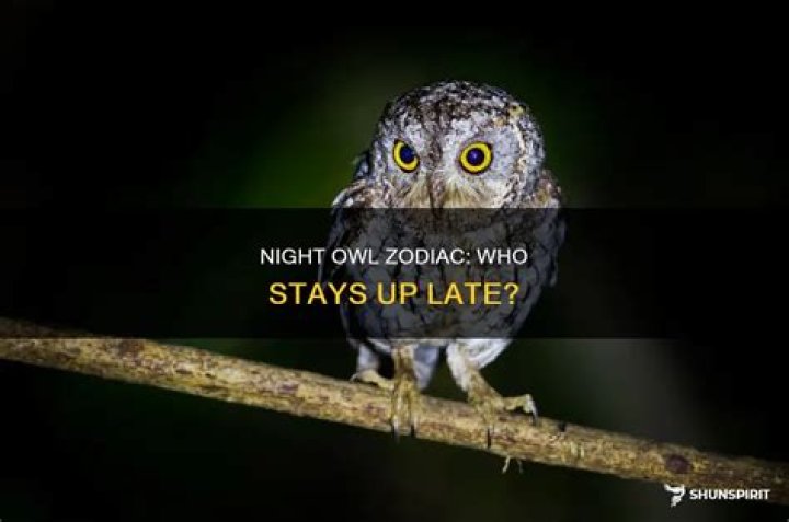 What zodiac signs are night owls?
