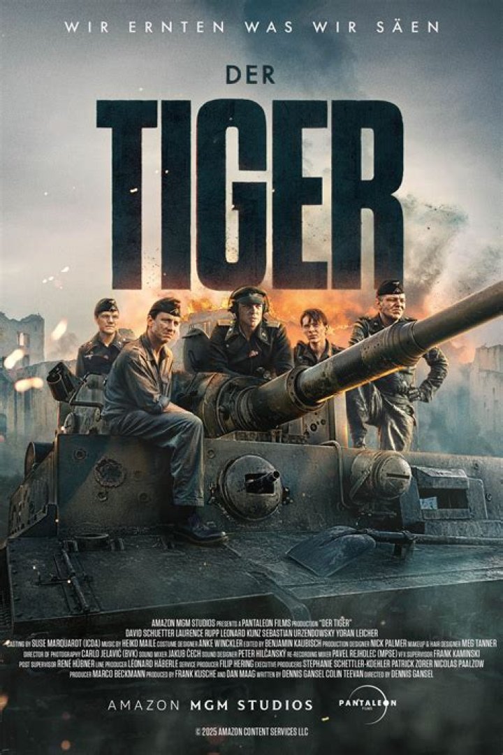 Whats the movie tiger about?