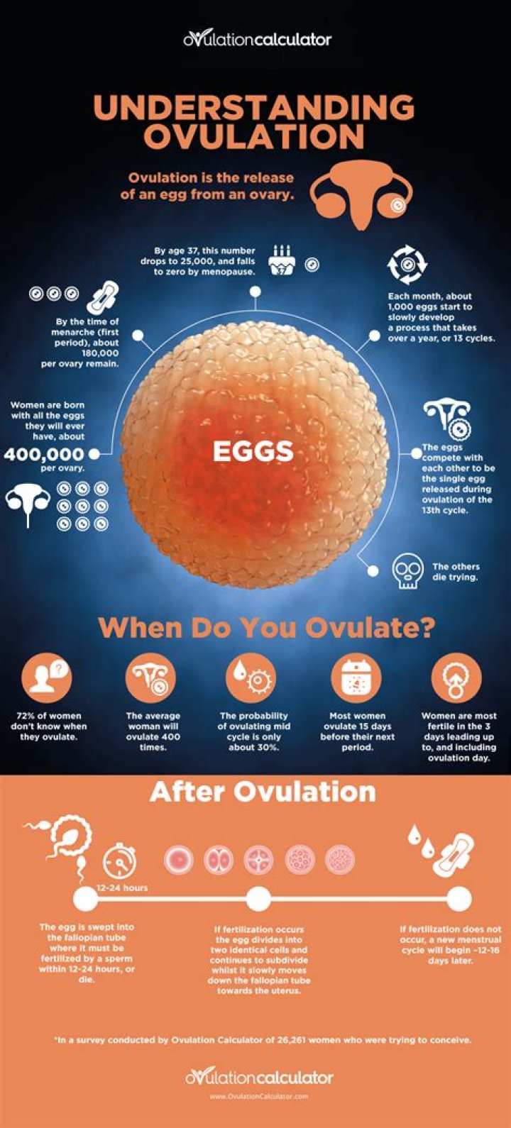 When a girl is ovulating What does it mean?