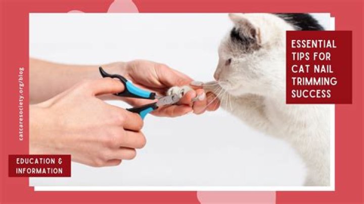 When can I start trimming my kitten's claws?