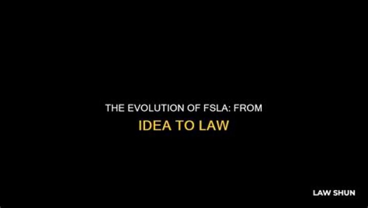When did FLSA go into effect?