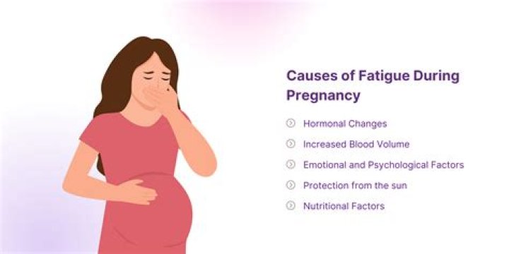 When does pregnancy fatigue go away?