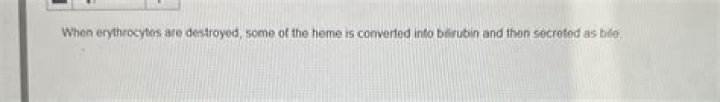 When erythrocytes are destroyed some of the heme is converted into bilirubin and then secreted as bile?