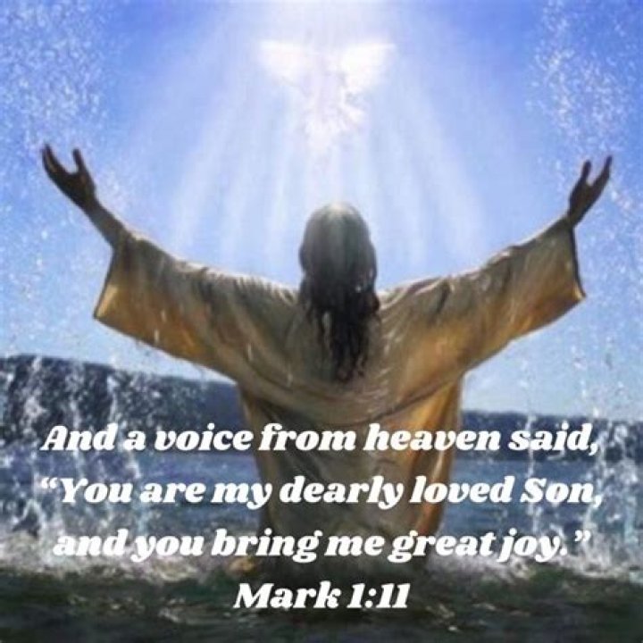 When Jesus was a voice from heaven said you are my?