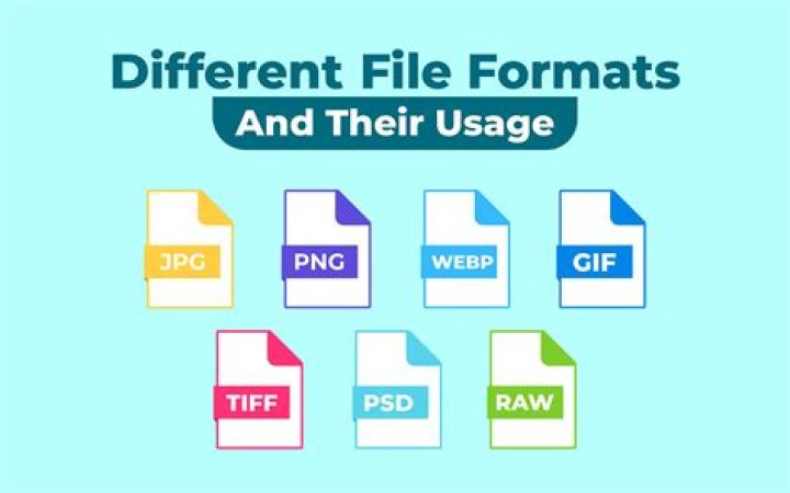 When should a native file format be used?