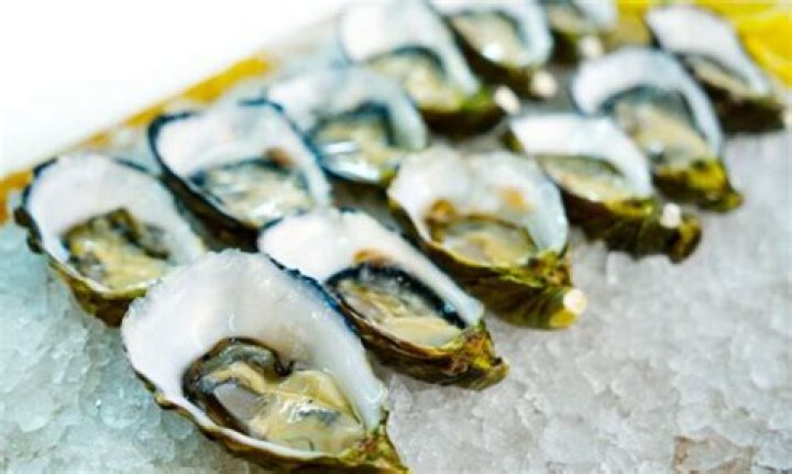When should I buy fresh oysters?