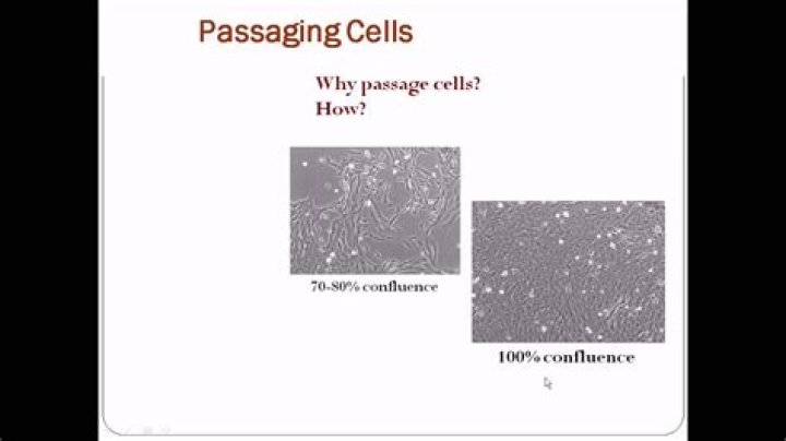When should you passage cells?