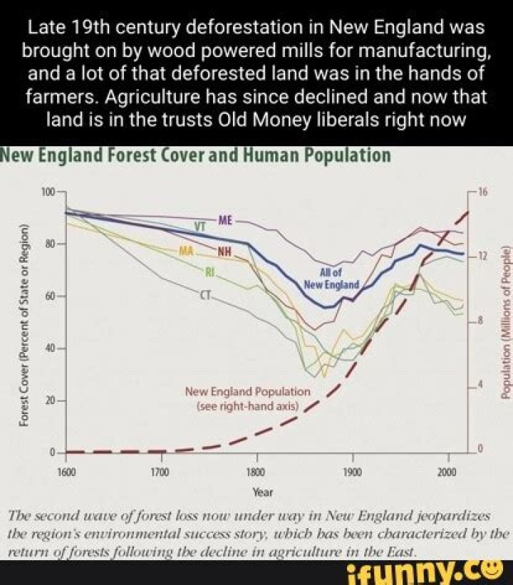 When was New England deforested?