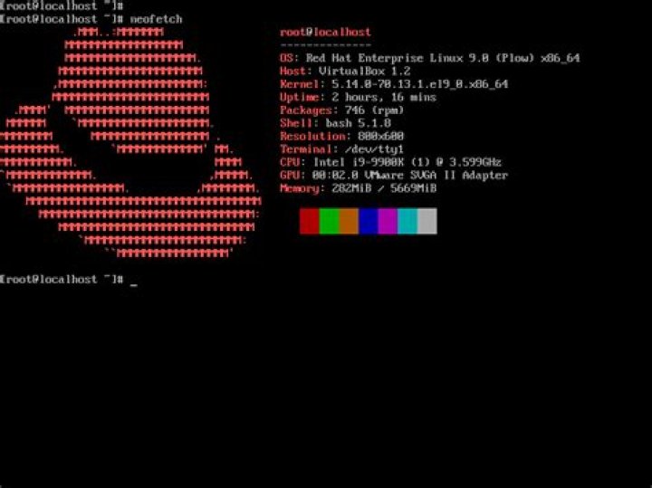 When was Red Hat Linux first introduced?