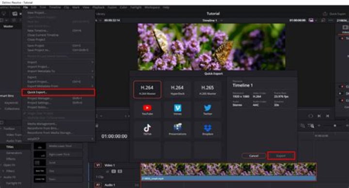 When you export a video where does it go?