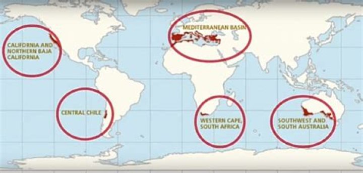 Where are chaparrals located?