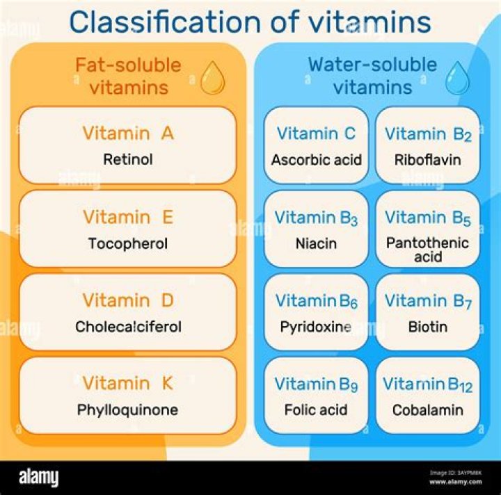 Where are excess amounts of fat soluble vitamins stored?