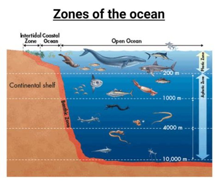 Where are ocean biomes found?