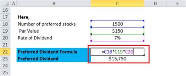 Where are preferred dividends on the income statement?
