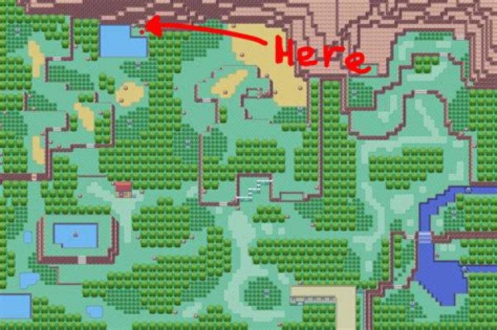 Where are the HMS in Pokemon Yellow?