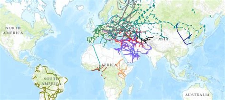 Where are the top 10 international oil pipelines located?