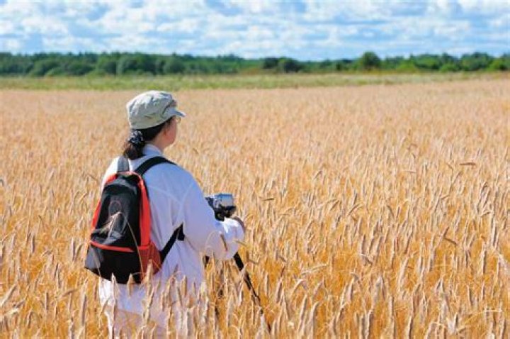 Where can geographers work?