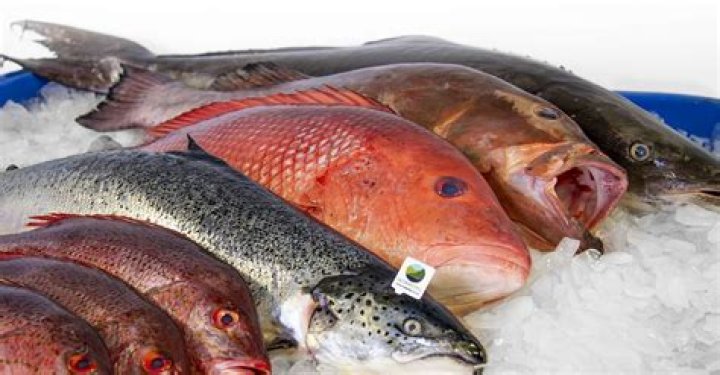 Where can I buy fresh fish online Singapore?