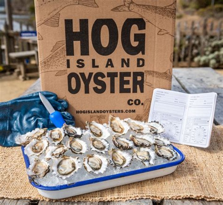 Where can I buy Hog Island Oysters?