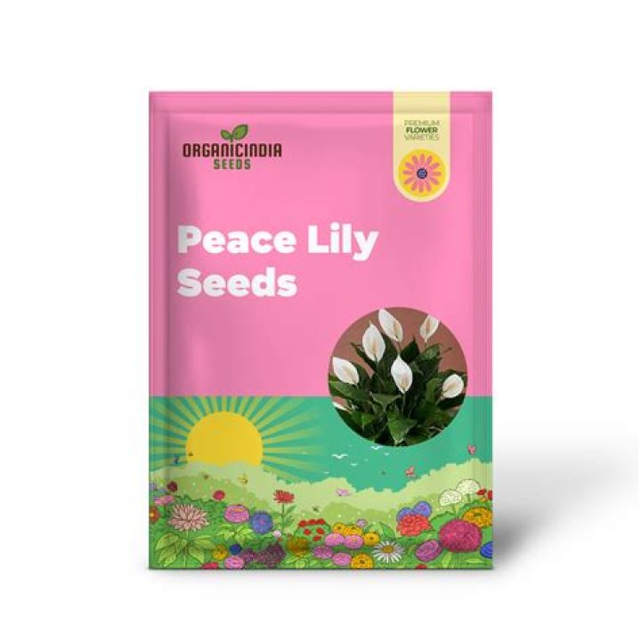 Where can I buy peace lily seeds?