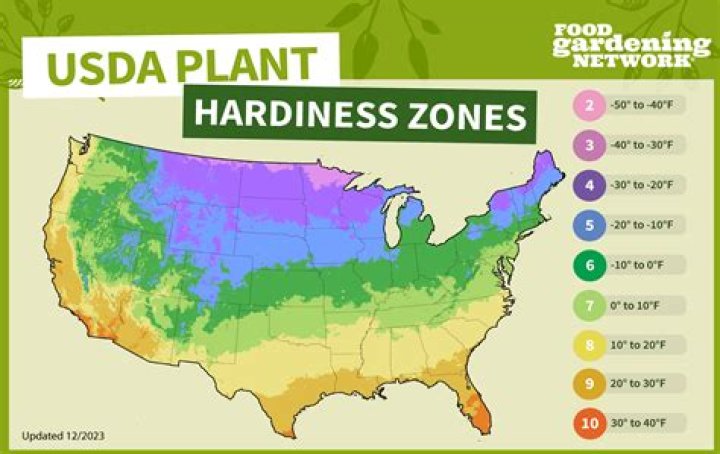 Where can I find a USDA home?