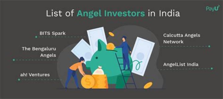 Where can I find angel investors for startup in India?