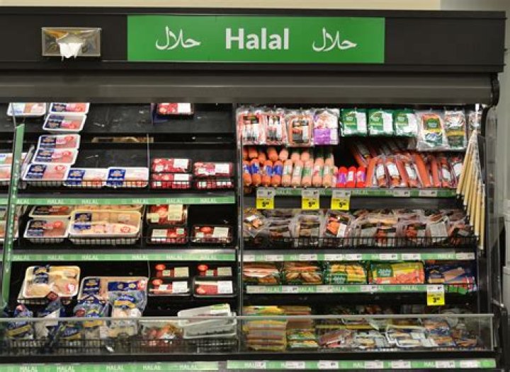 Where can I find halal shares in India?
