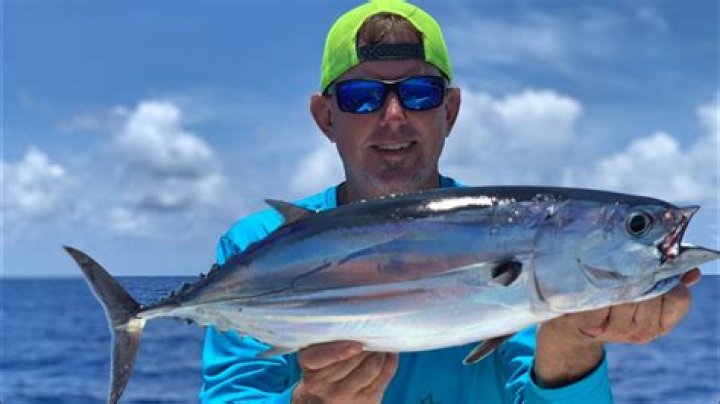 Where can I fish for skipjack?