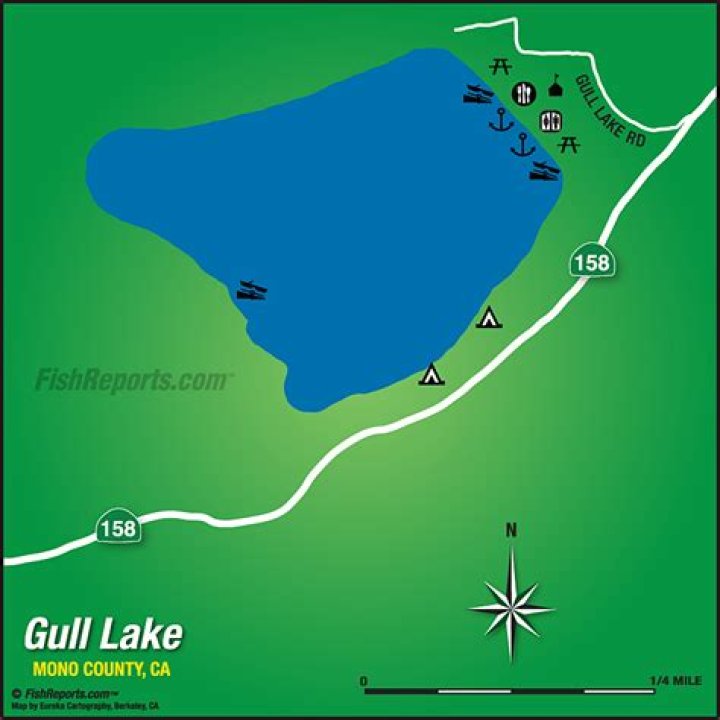 Where can I fish on Gull Lake?