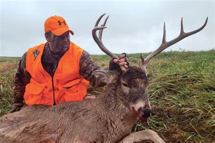 Where can I go hunting in Oregon?