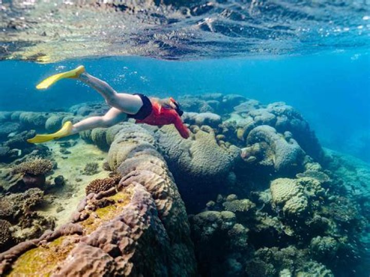 Where can I snorkel in Exmouth?